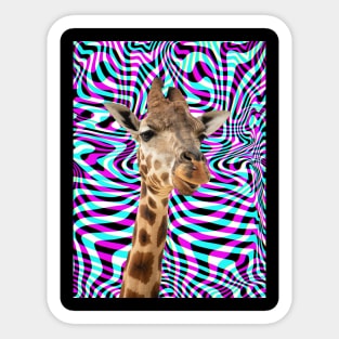 Trippy giraffe Sticker